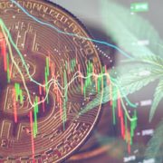 Top Marijuana Penny Stocks Vs Cryptocurrency, Which Investment Is Better In June?