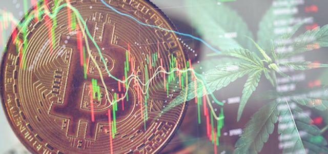 Top Marijuana Penny Stocks Vs Cryptocurrency, Which Investment Is Better In June?