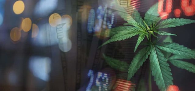 Top Marijuana Stocks For Watchlist? 2 To Check Out Before Next Week