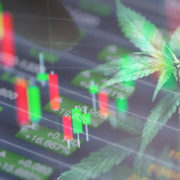Top Marijuana Stocks To Buy? 2 To Watch For Summer 2021