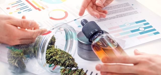 Top Marijuana Stocks To Buy For The Long-Term? 2 Analyst Rate As A Strong Buy Right Now