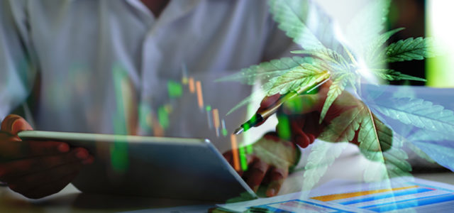 Top Marijuana Stocks To Buy For The Long Term? 2 With Solid Returns For Shareholders