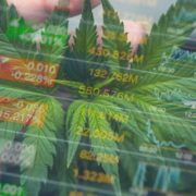 Top Marijuana Stocks To Buy Right Now? 2 To Watch This Week