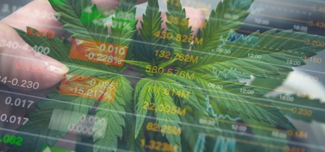 Top Marijuana Stocks To Buy Right Now? 2 To Watch This Week