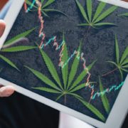 Top Marijuana Stocks To Buy Right Now? 2 With Potential For Monday