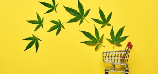 U.S Cannabis Sales Hit Record High During Pandemic & 2021 Is Expected to Be a Blockbuster Year