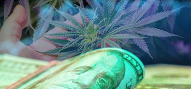 Which Top Marijuana Stocks Are The Best For Long Term Investments? 2 For Your Watchlist