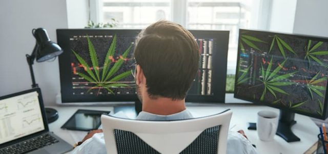 2 Marijuana Stocks For Your Investment Portfolio