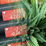 2 Top Marijuana Stocks To Add To Your Watchlist Before Next Week