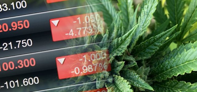 2 Top Marijuana Stocks To Add To Your Watchlist Before Next Week