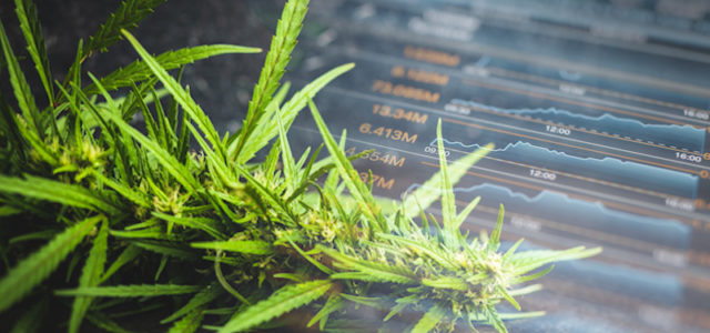 5 Top Ancillary Cannabis Stocks In 2021