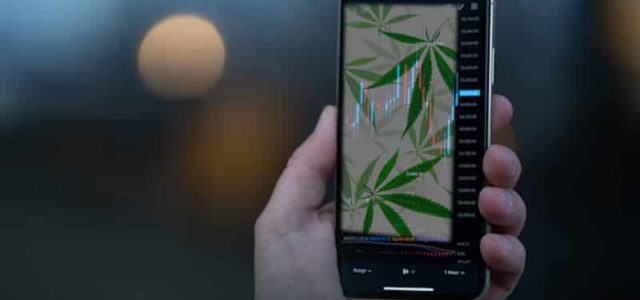 Are These Marijuana Stocks Worth Buying Right Now? 2 To Watch In July