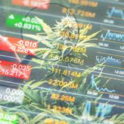 Best Marijuana Stocks For Your Watchlist In July? 3 Top US Pot Stocks To Check Out