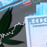 Best Marijuana Stocks To Buy In 2021? 2 Cannabis Stocks With Potential Upside