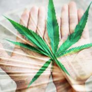 Best Marijuana Stocks To Buy In July 2021? 2 To Watch For Long Term And Short Term Investing