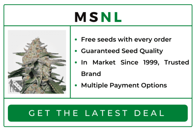 MSNL Deals