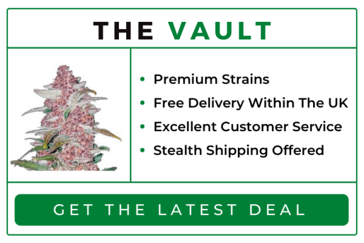 The Vault Deals