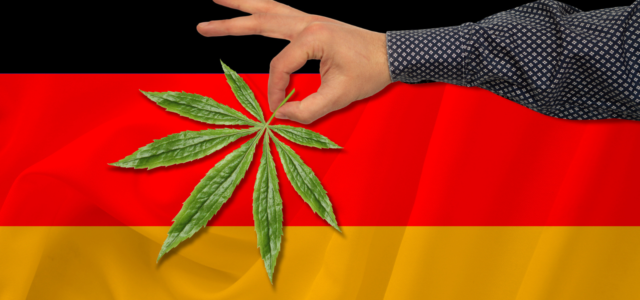 Elections and Cannabis in Germany: Green All Around