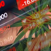 How To Invest In Marijuana Stocks In A Down Market? 2 For Your List Right Now