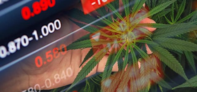 How To Invest In Marijuana Stocks In A Down Market? 2 For Your List Right Now