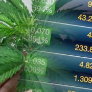 How To Invest In Marijuana Stocks With 2 Companies To Watch In July 2021
