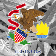 Illinois weed sales remain strong at near-record $116 million in June