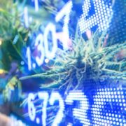 Looking For Marijuana Stocks To Buy For The Long Term? 2 Check Out In July