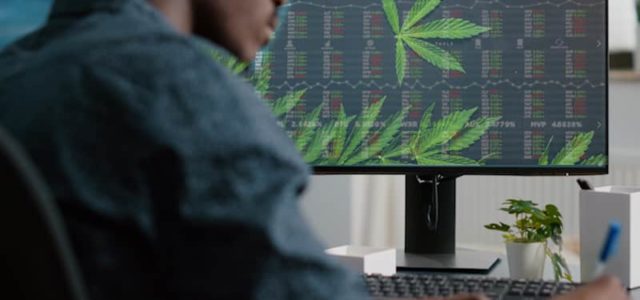 Looking For the Best Marijuana Stocks To Buy In 2021? 3 To Watch Right Now
