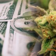 Making a List Of Top Marijuana Stocks To Buy? 2 To Watch Right Now