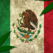 Marijuana May Make The Ballot After The President Of Mexico Considers Better Legislation