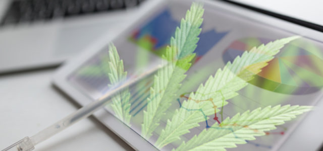 Marijuana Stocks To Watch Before Trading In August Begins