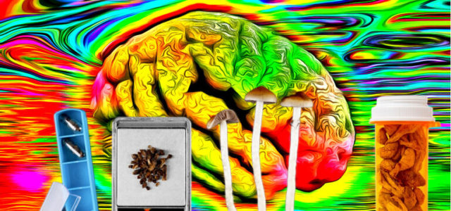 New study sheds light on how LSD’s entropic effects on the brain impact language production