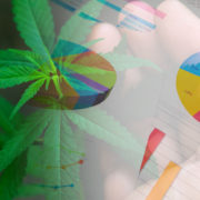 Shareholders Need These Marijuana Stocks To Pick Up In Trading