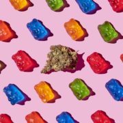 So You Want to try Cannabis Edibles?