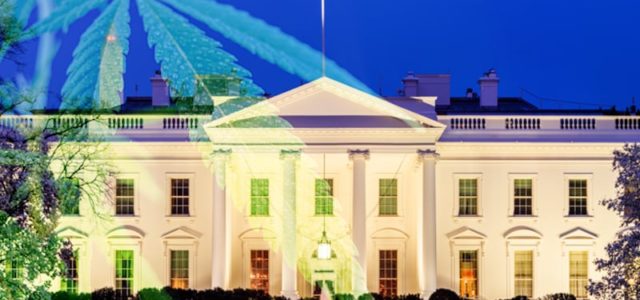 The President Maintains His Stance On Broader Cannabis Reform