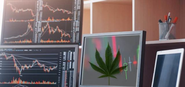 These 3 Marijuana Stocks May Be The Winners For You?