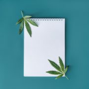 Tilray Stock vs. Canopy Growth Stock: Which Is the Better Long-Term Pot Stock?