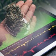 Top Cannabis Stocks To Buy In July? 2 For Your Watchlist Next Week