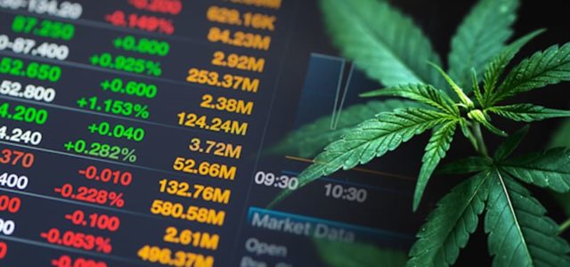 Top Cannabis Stocks To Watch This Week? 2 To Add To Your Investment Portfolio