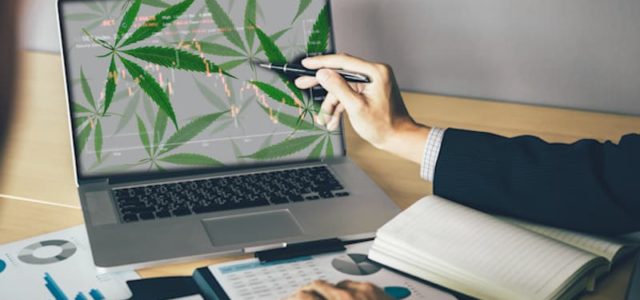 Top Marijuana Stocks To Buy Right Now? 3 US Pot Stocks For Your List In July
