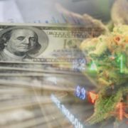 Top Marijuana Stocks To Watch As Markets Pullback In July? 2 For Your List This Week