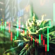 Top Marijuana Stocks To Watch To Close Out The Week