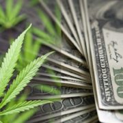 Top Marijuana Stocks To Watch Today In The Market