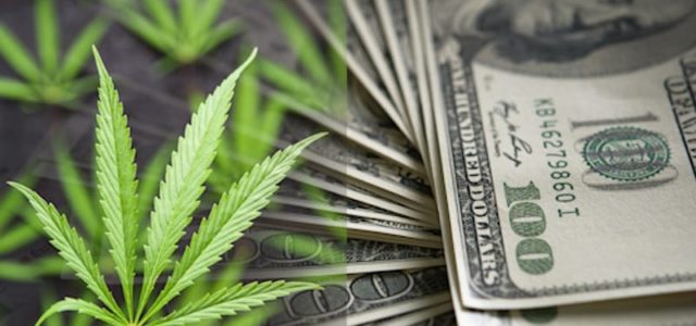 Top Marijuana Stocks To Watch Today In The Market