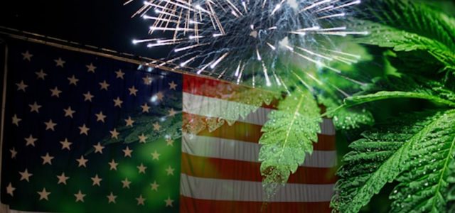 Which Marijuana Penny Stocks To Buy After The 4th Of July? 3 For Your List Next Week
