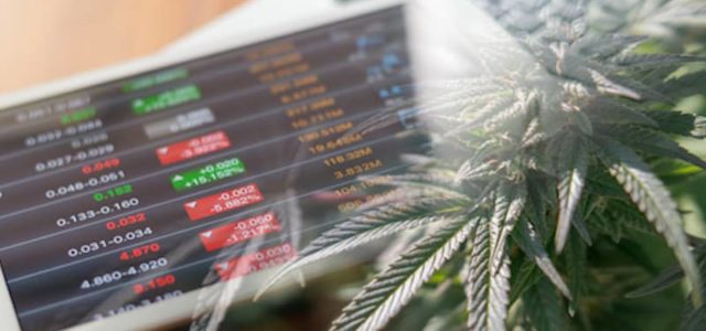 While Top Cannabis Stocks Are Down Are Pot Stocks A Good Investment?
