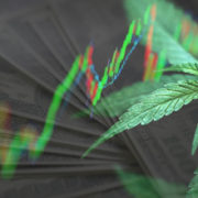Why Do These 3 Marijuana Stocks Hold Value To Investors?