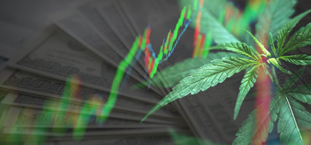 Why Do These 3 Marijuana Stocks Hold Value To Investors?