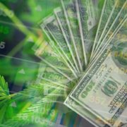 2 Marijuana Stocks That May End Up On Your August Watchlist