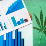 2 Marijuana Stocks To Watch Before September Officially Begins